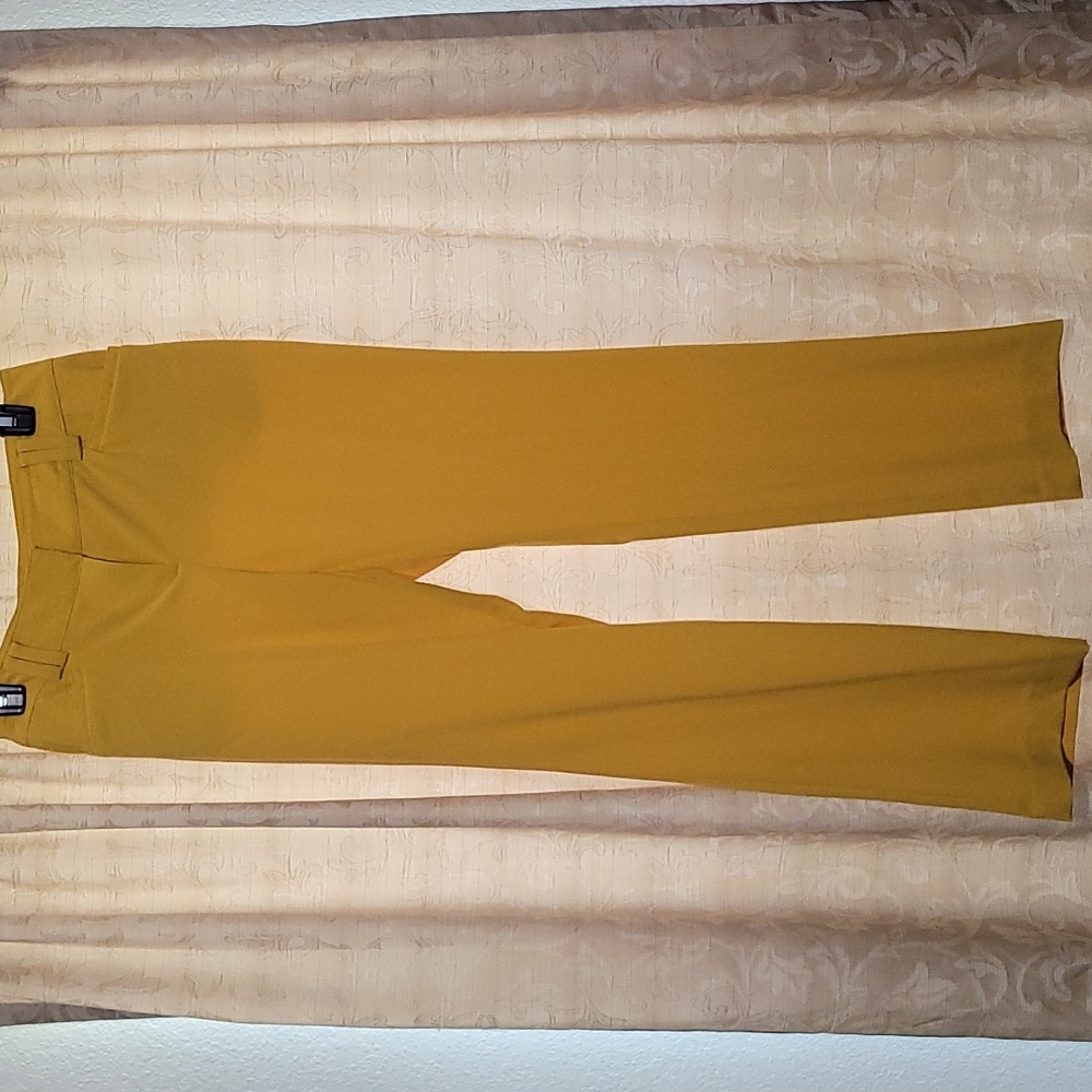 New York & Company pants